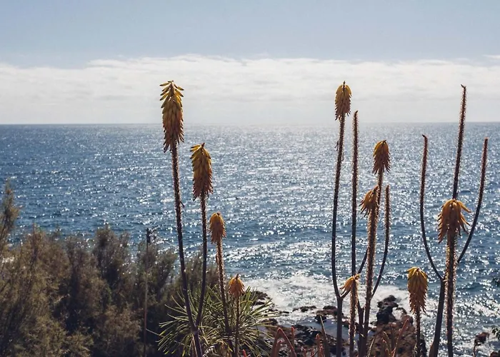 Luminous Loft Next To The Atlantic Ocean Tatil Evi *