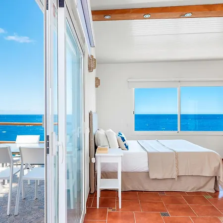 Luminous Loft Next To The Atlantic Ocean Semesterbostad Bocacangrejo