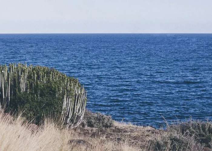Luminous Loft Next To The Atlantic Ocean Radazul